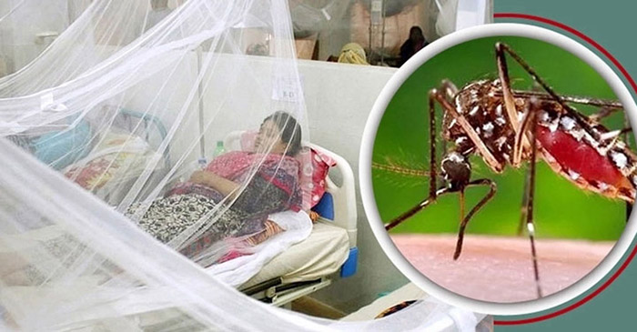 সারাদেশে ডেঙ্গুতে একদিনে ১৬ জনের মৃত্যু, হাসপাতালে ২৫৬৪