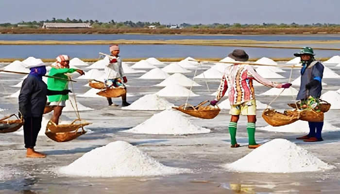৬২ বছরের মধ্যে দেশে লবণ উৎপাদনের রেকর্ড