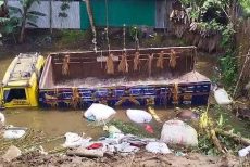 রাজবাড়ীতে ট্রাক উল্টে ২ ব্যবসায়ী নিহত