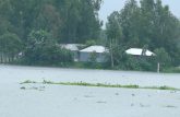 কুড়িগ্রামে নদ-নদীর পানি বিপৎসীমা উপরে, নিম্নাঞ্চল প্লাবিত